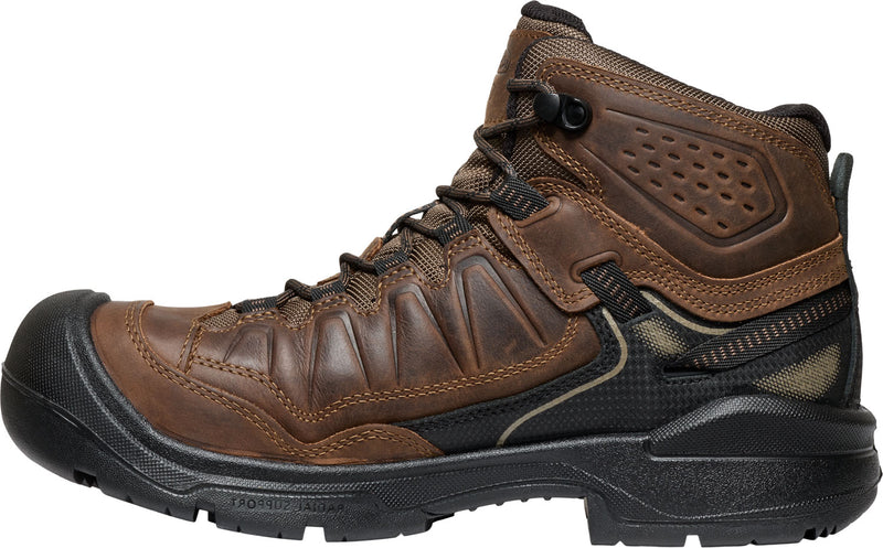 Men's Targhee IV Comp Toe WP SR Hiker